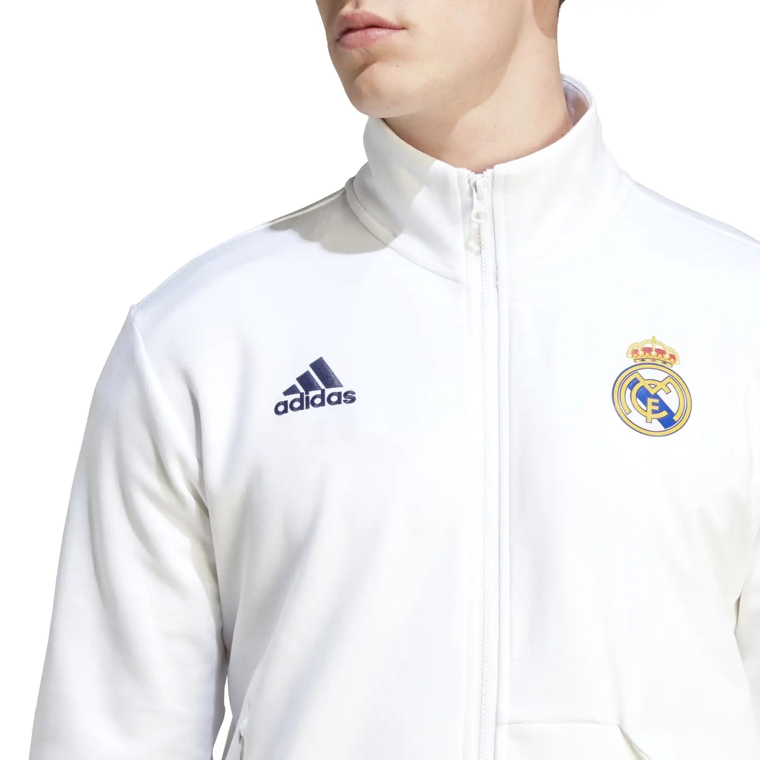 Chaqueta adidas Himno Hombre 23/24